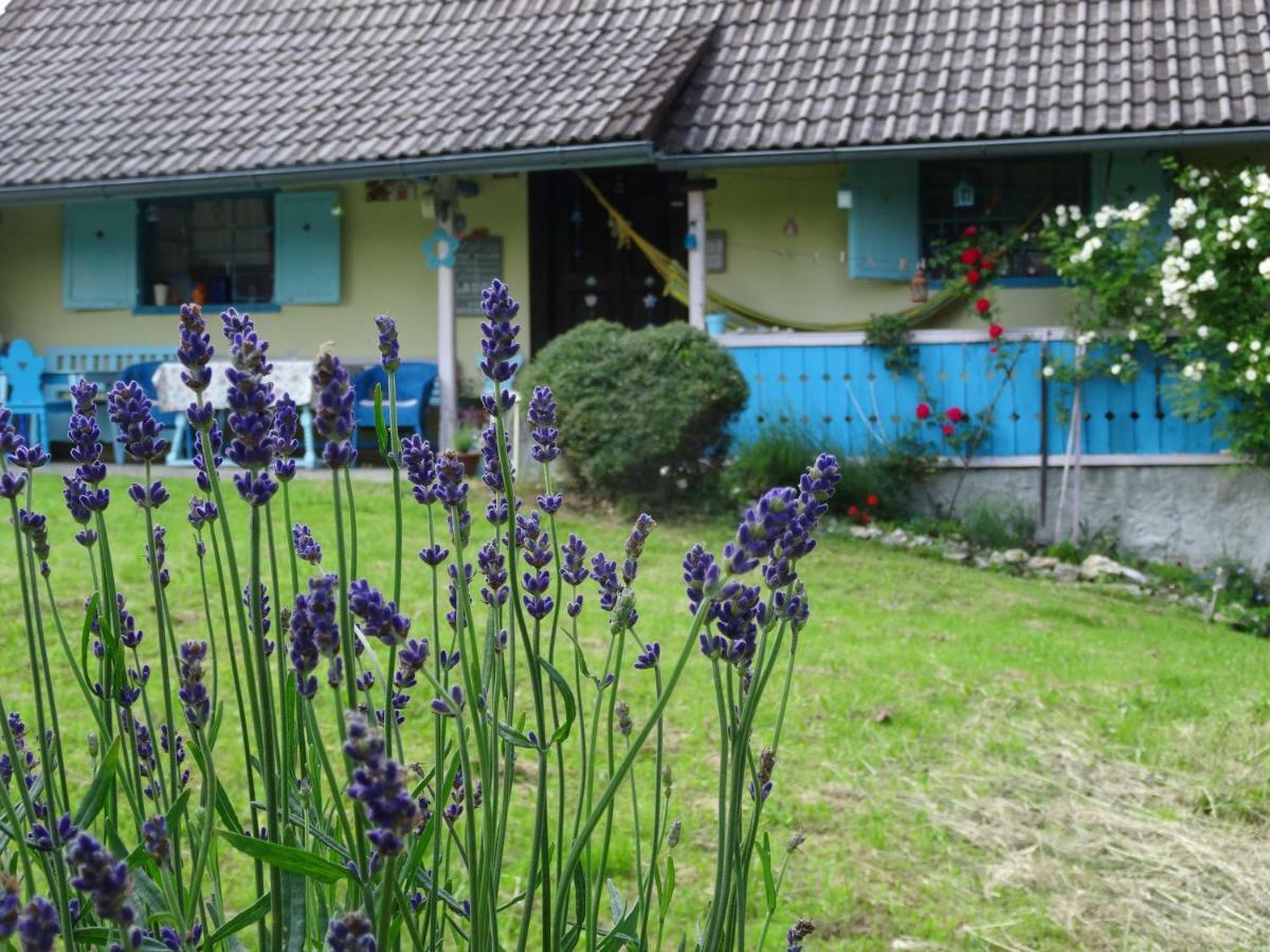 Blue Cottage Podvrh  Exteriör bild